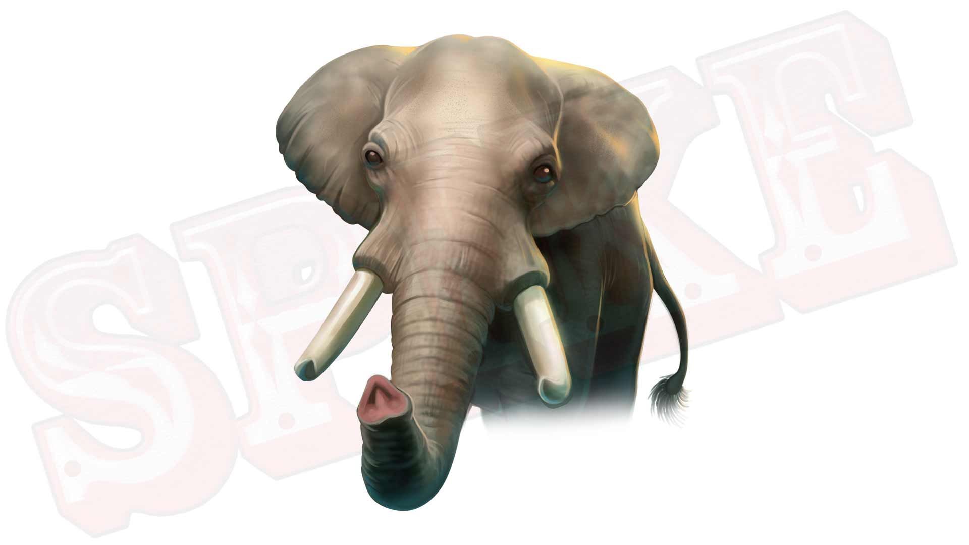 Jungle Spirit Megaways SPIKESlot