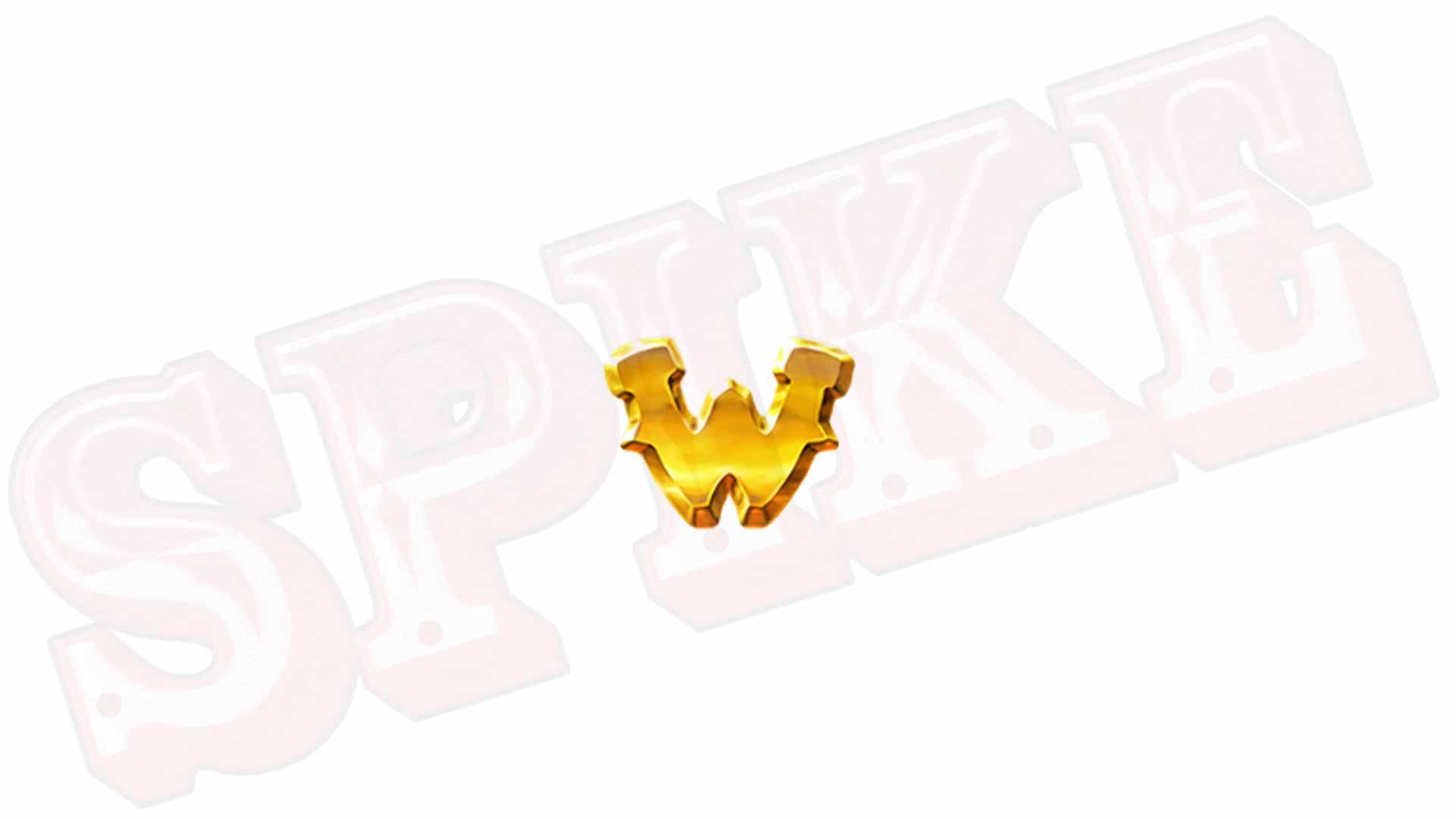 Pirots 3 Slot Simbolo Wild